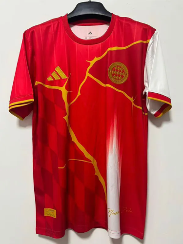 2025-26 Bayern Red Special Edition Training shirts