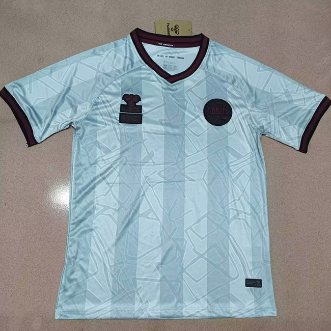24-25 Denmark HALO Grey Special Edition Fans Soccer Jersey