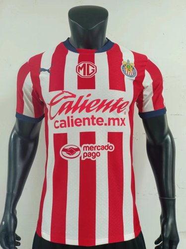Player version 2425 Chivas Home