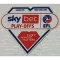 EFL Championship (25英冠章)