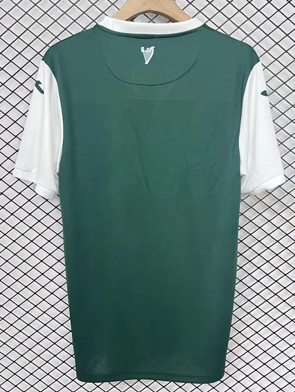 25-26 Hibernian FC Home Fans Soccer Jersey