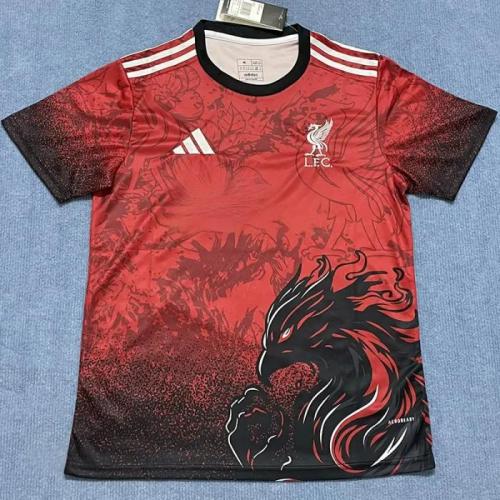 25-26 LIV Red Special Edition Fans Training shirts