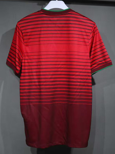 2014 Portugal Home Player Version 球员 Retro Soccer Jersey