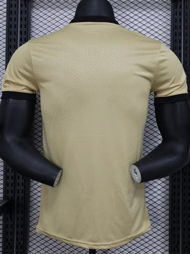 24-25 Man City Yellow Special Edition Player Version Soccer Jersey