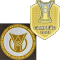 CAMPEAO 2023 +Brasileirao A2024(巴甲+联赛胸前冠)
