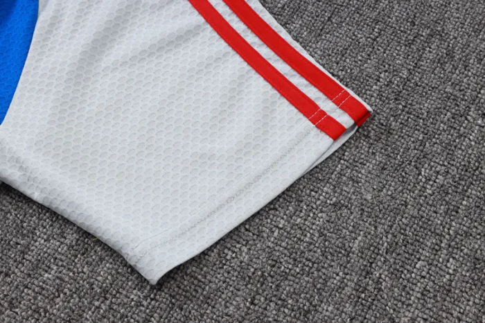 2025-26 Bayern Grey Polo Tracksuit #C2547