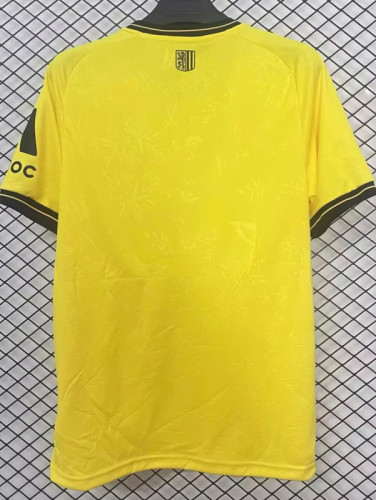 2025-26 Dynamo Dresden Home Fans Soccer Jersey