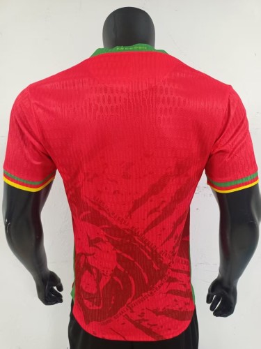 2026 Cameroon away game jersey