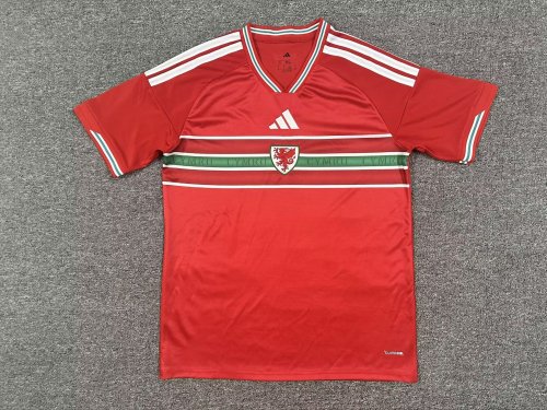 2026 Welsh home jersey