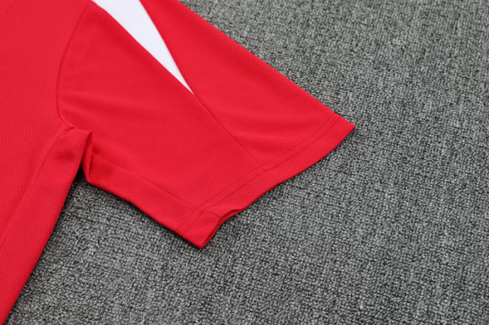 25-26 PsG Jordan Red Training short Suit