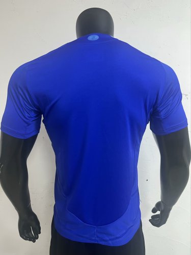 Player version 2425 Argentina away