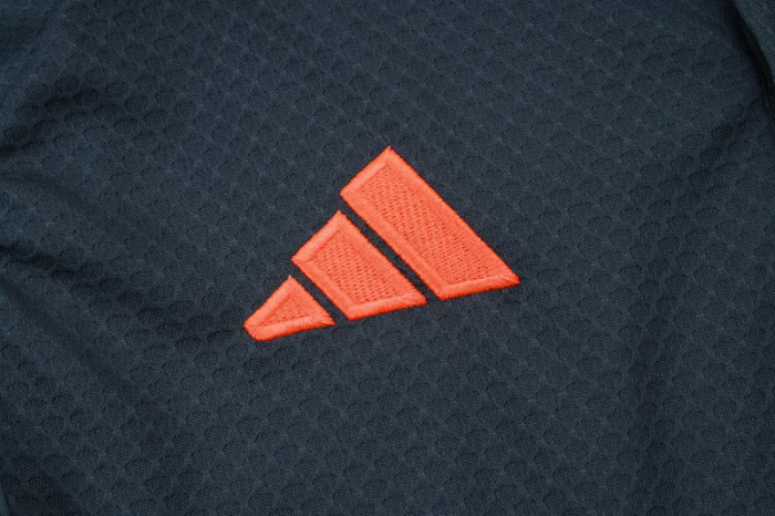 2025-26 Bayern Dark gray Polo Tracksuit #C2544