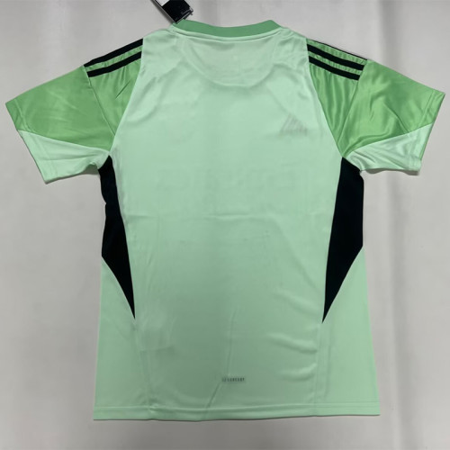 2025-26 Benfca Green GoalKeeper Soccer Jersey
