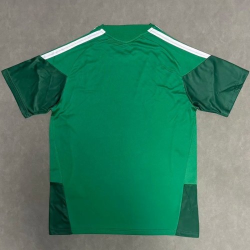 2026 World Cup   Mexico Football Training Shirt