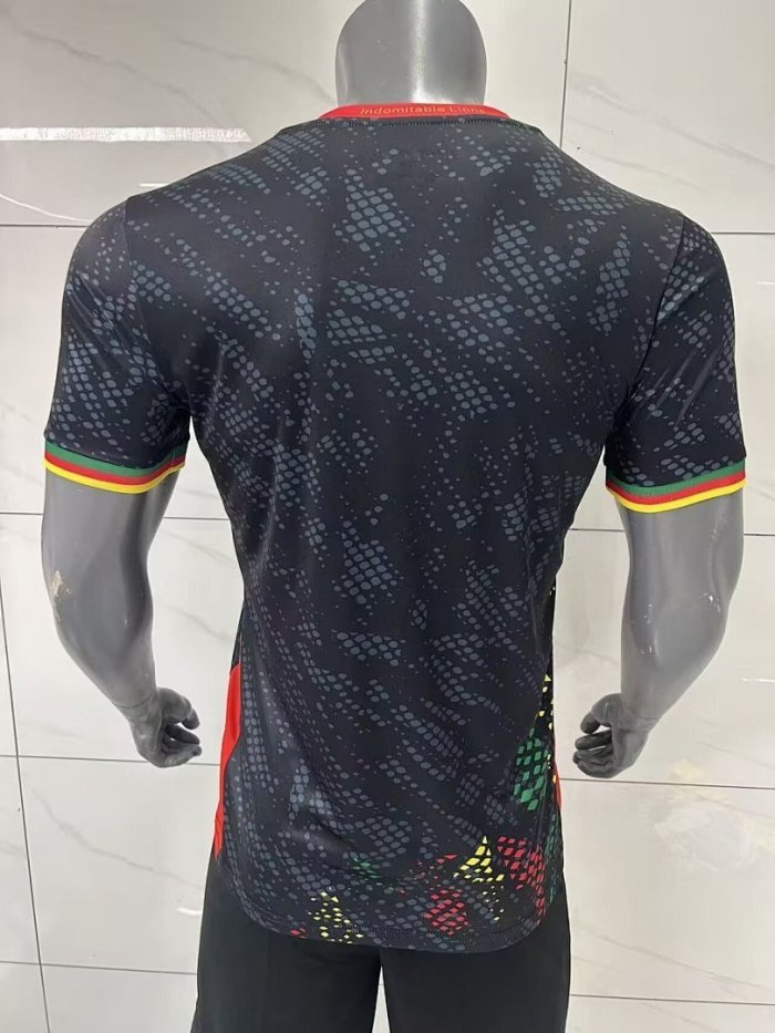 25-26 Cameroon Player Version Soccer Jersey