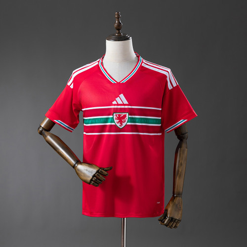 2026 Wales World Cup Home Soccer Jersey
