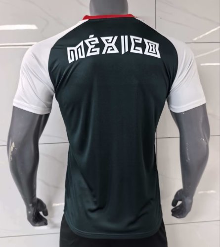 2026 Mexico Player Version Training Shirts