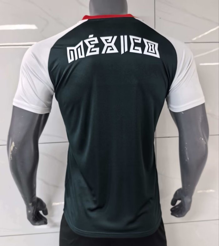 2026 Mexico Player Version Training Shirts