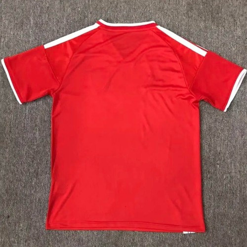 2026-27  Wales Special Edition Red Soccer Jersey