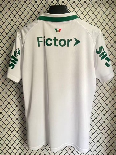 2026-27 Palmeiras Away venue with sponsor Soccer Jersey