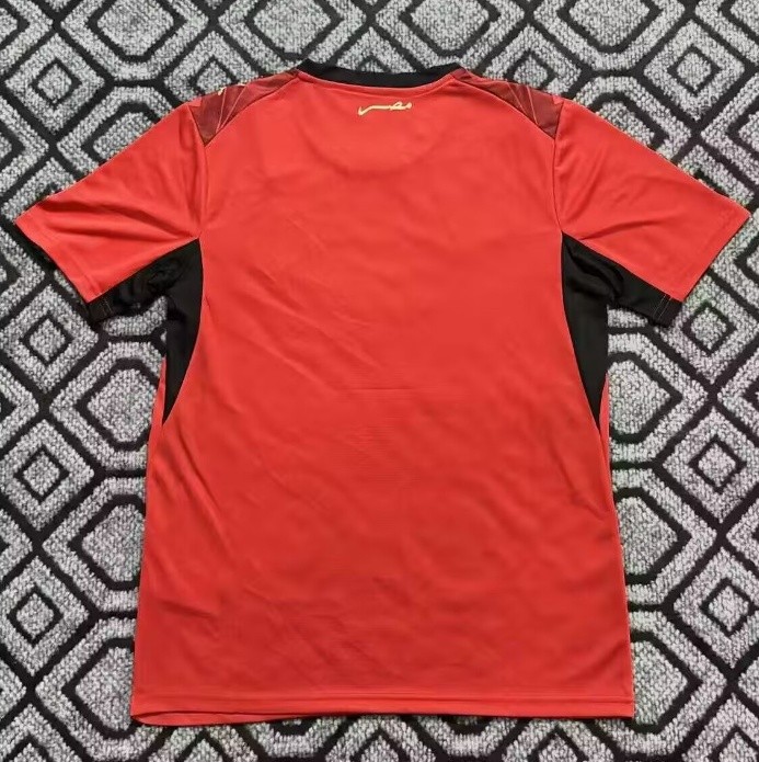 2026-27 Egypt Home Fans Soccer Jersey