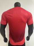 Player version 2425 Manchester United home