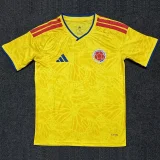 26-27 Colombia Home Fans Soccer Jersey