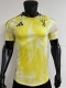 Player version 2425 Juventus away