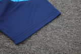 24-25 Palmeiras Lake blue Training Short Suit