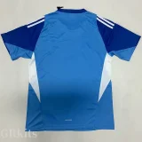 2025-26 JUV Blue Goalkeeper Soccer Jersey