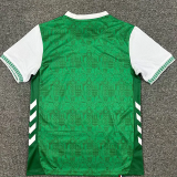 2025-26 Saint Etienne Home Fans Soccer Jersey