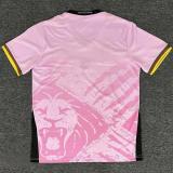 25-26 Cameroon Pink Fans Soccer Jersey