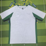 2025-26 Sporting Lisbon Special Edition Training shirts(狮头)