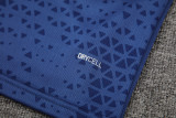 24-25 Palmeiras Royal blue Training Short Suit