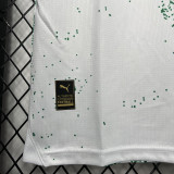 24-25 Palmeiras White Special Edition Training shirts