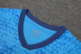 24-25 Palmeiras Lake blue Training Short Suit