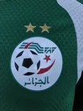 26-27 Algeria Green Player Version Training shirts