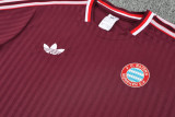 25-26 Bayern Jujube red Training short Suit