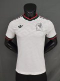 2026 Mexico away jersey