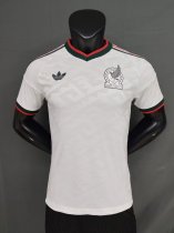 2026 Mexico away jersey