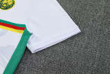 25-26 Cameroon White Training short Suit