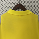 24-25 Flamengo Yellow Gray Polo Short Sleeve(有领)