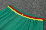 25-26 Cameroon White Training short Suit
