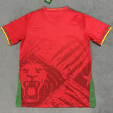 25-26 Cameroon Away Fans Soccer Jersey