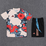 25-26 Bayern Khaki Training Short Suit
