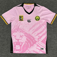 25-26 Cameroon Pink Fans Soccer Jersey