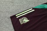 24-25 Mexico Green Tank top and shorts suit