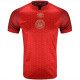 24-25 Bournemouth Red Special Edition Fans Soccer Jersey