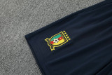 25-26 Cameroon Royal blue Training Short Suit