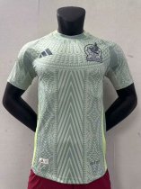 Player version 2425 Mexico away